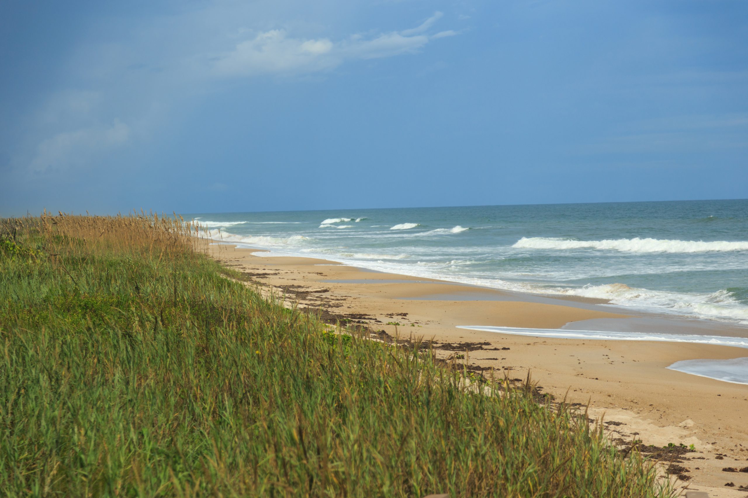 Canaveral National Seashore