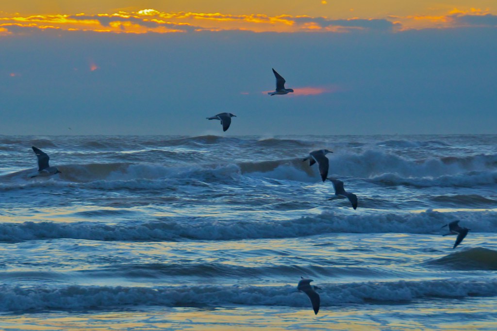 Big waves at South Padre Island