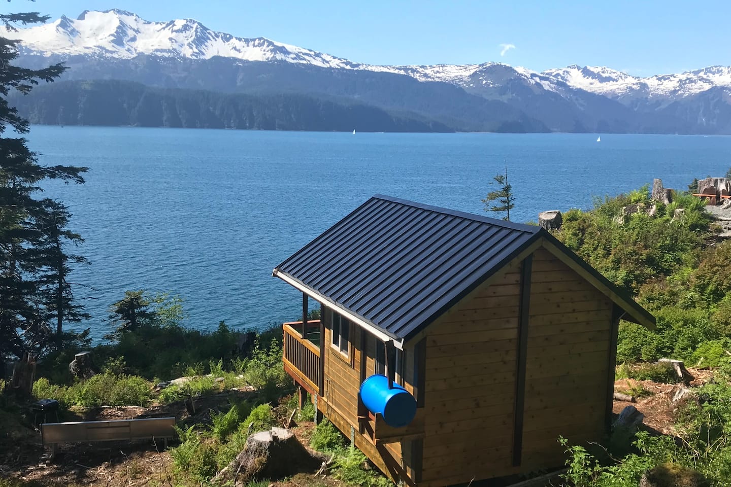 Fox Den Cabin - Seward, Alaska