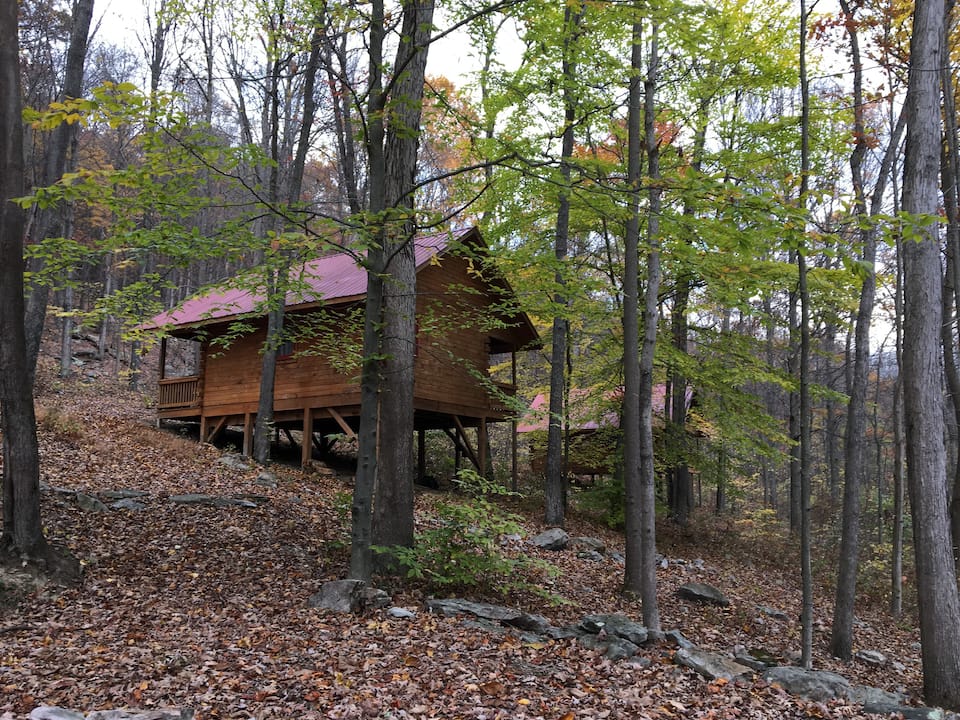 Through the Woods at Little Valley Log Cabin Retreat at Camp Liberty