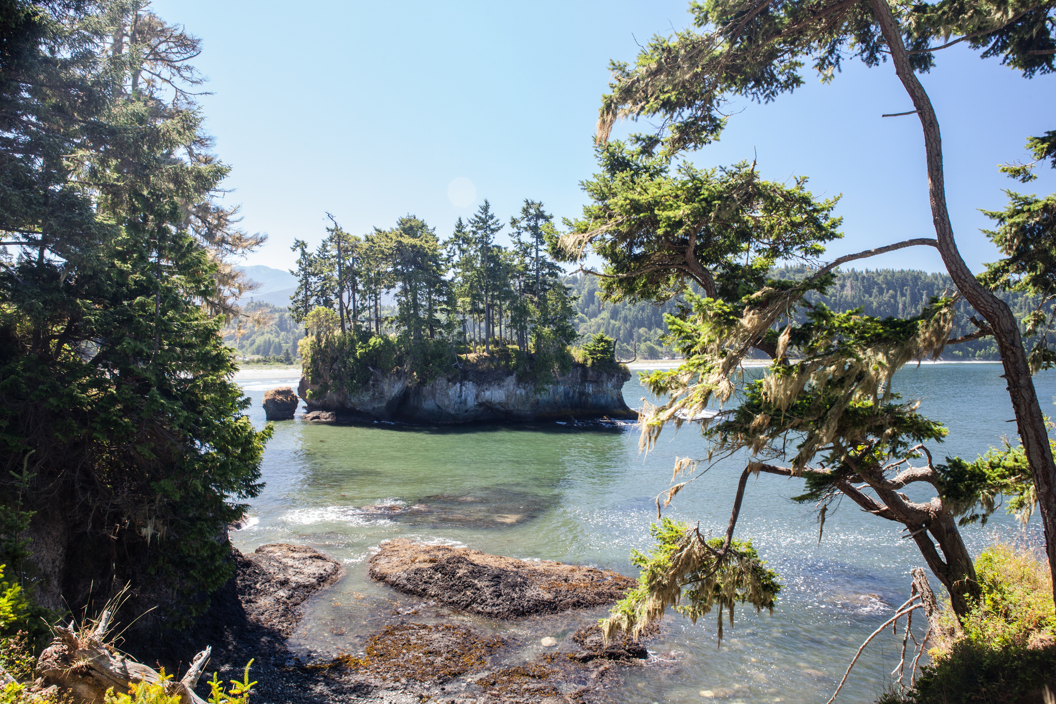 Olympic Peninsula Coast