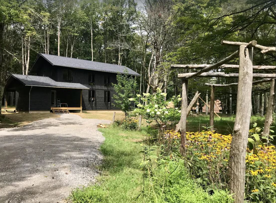 Cabin view among the trees