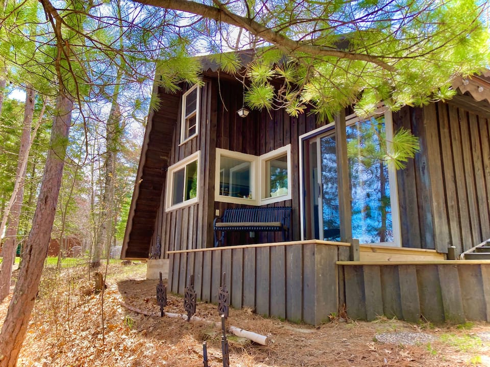 Wooded setting of the cabin 