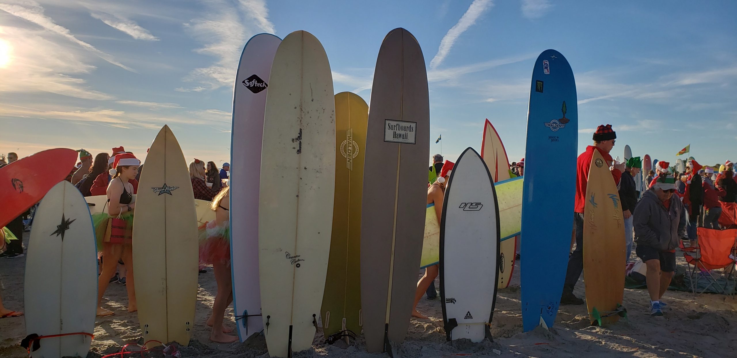 Surfboards lined up on Cocoa Beach 