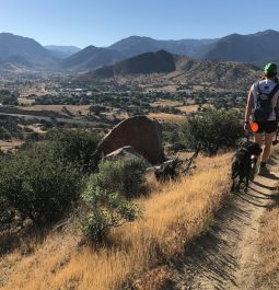 Hiking with my dog in the mountains near Bakersfield