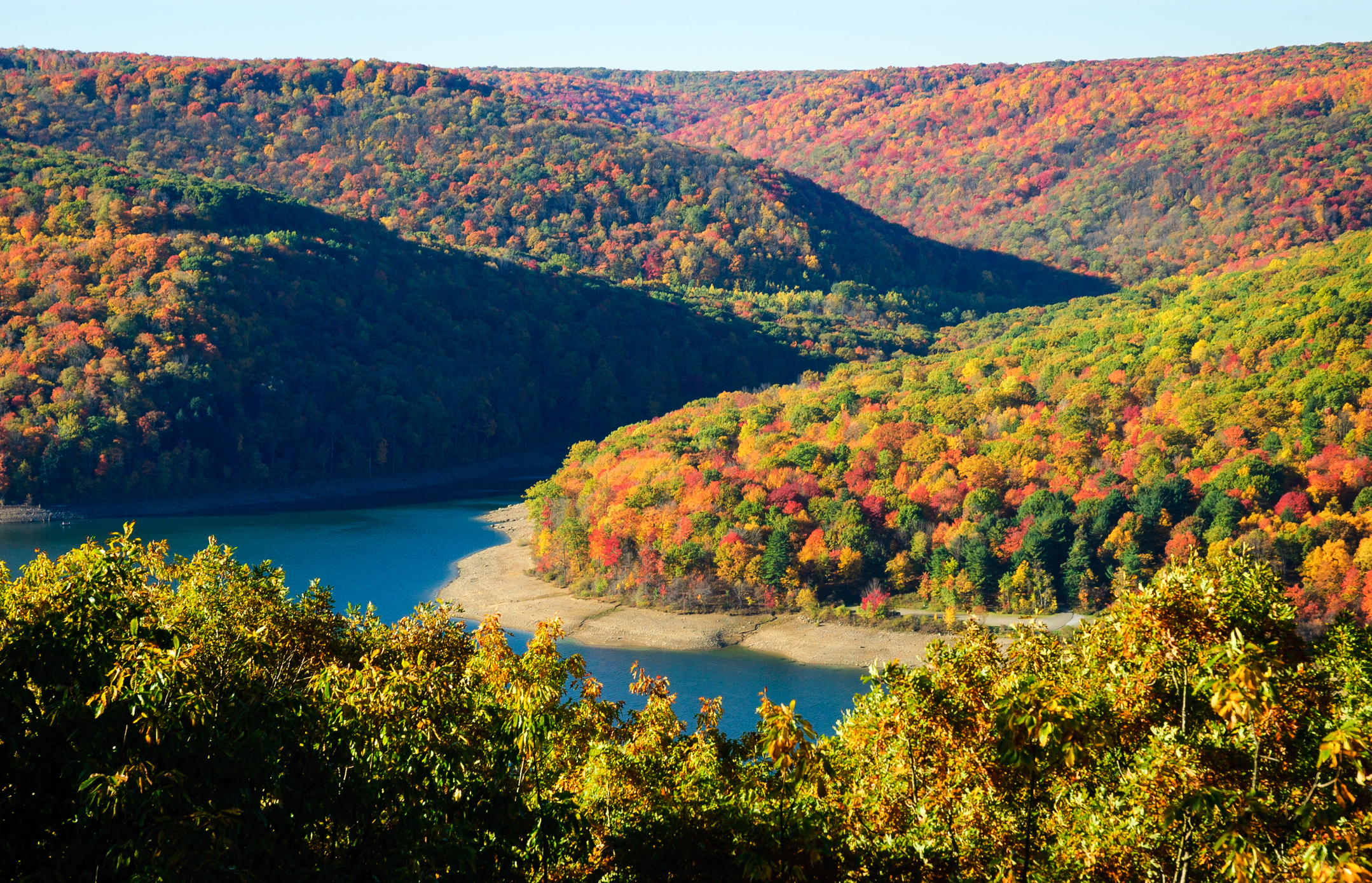 Allegheny National Forest