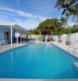 Pool next to the house and palms