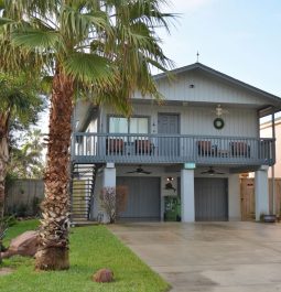 Front exterior of home with palm tree