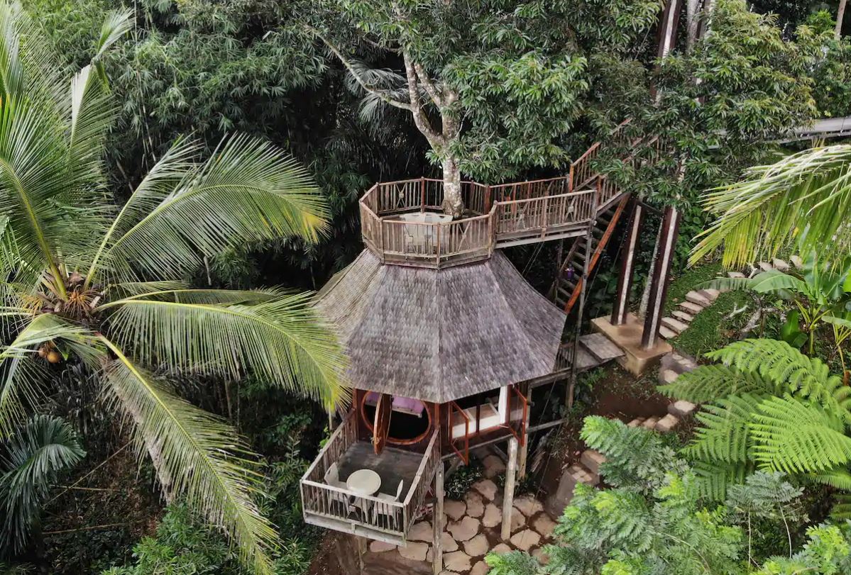 Exterior shot of Hobbit Treehouse