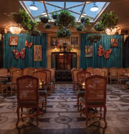 Lush greenery hangs from the ceiling in the dim lighting of Jack Rose Restaurant in New Orleans