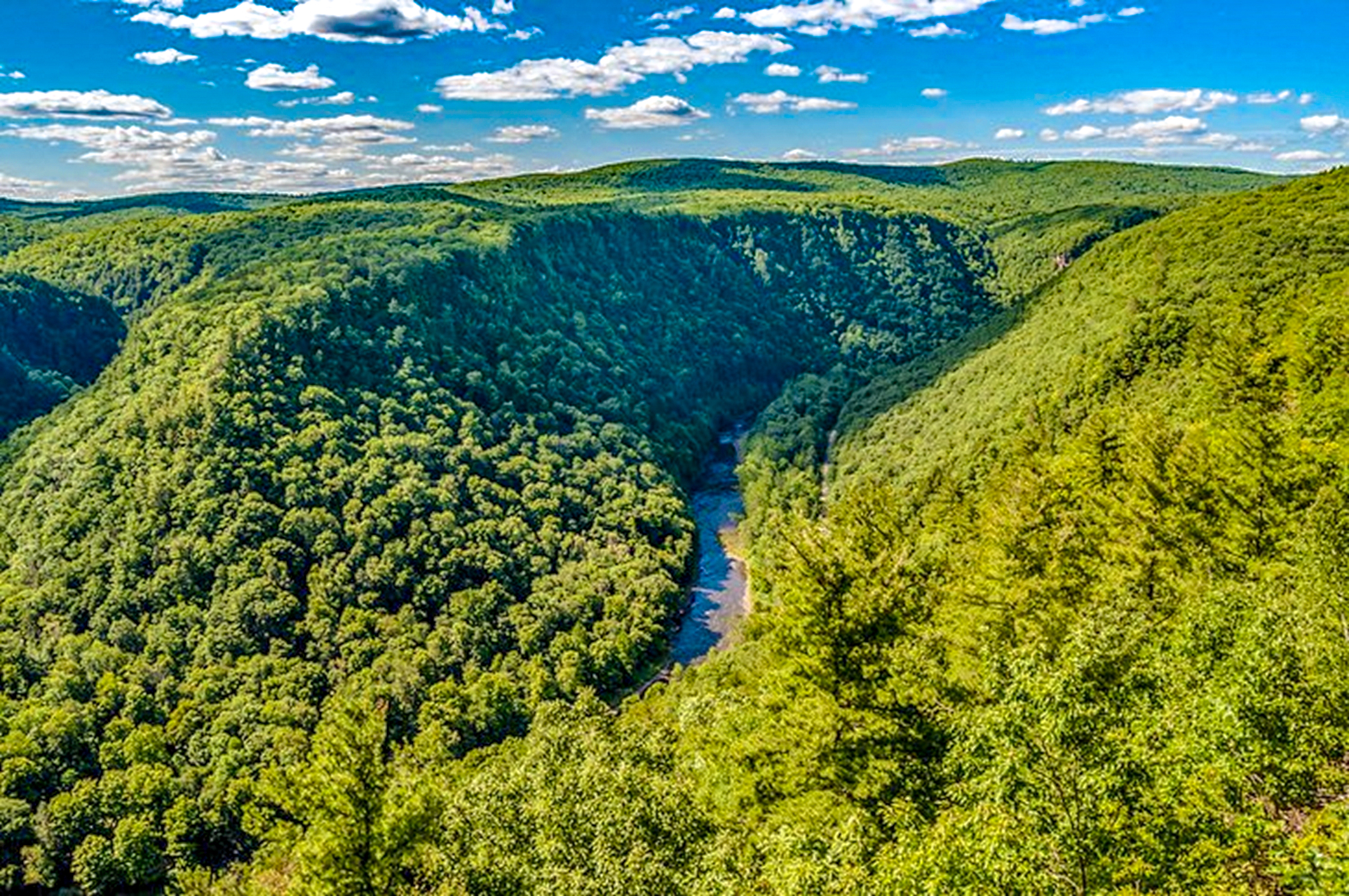 Pine Creek Gorge