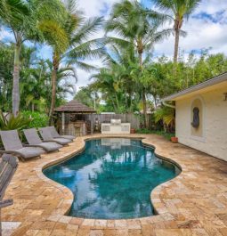 Pool and palm trees at the home