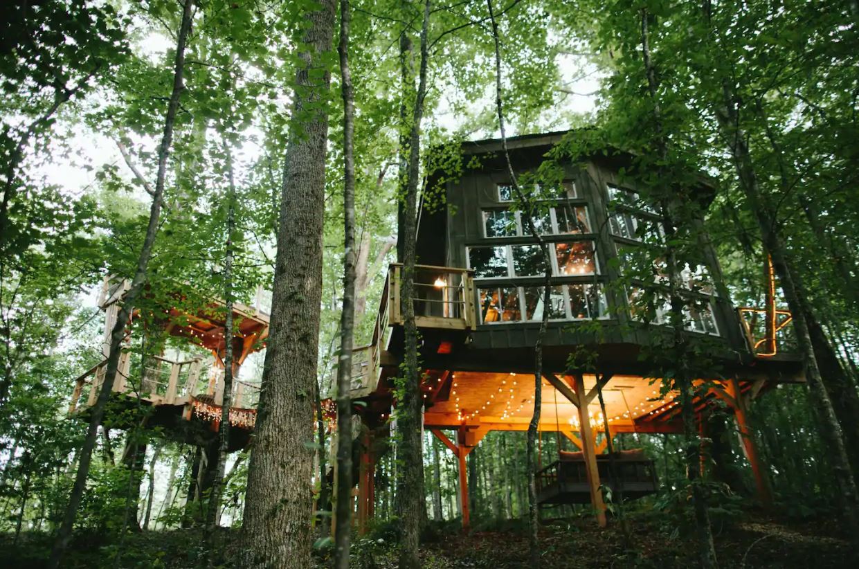 The Majestic Treehouse