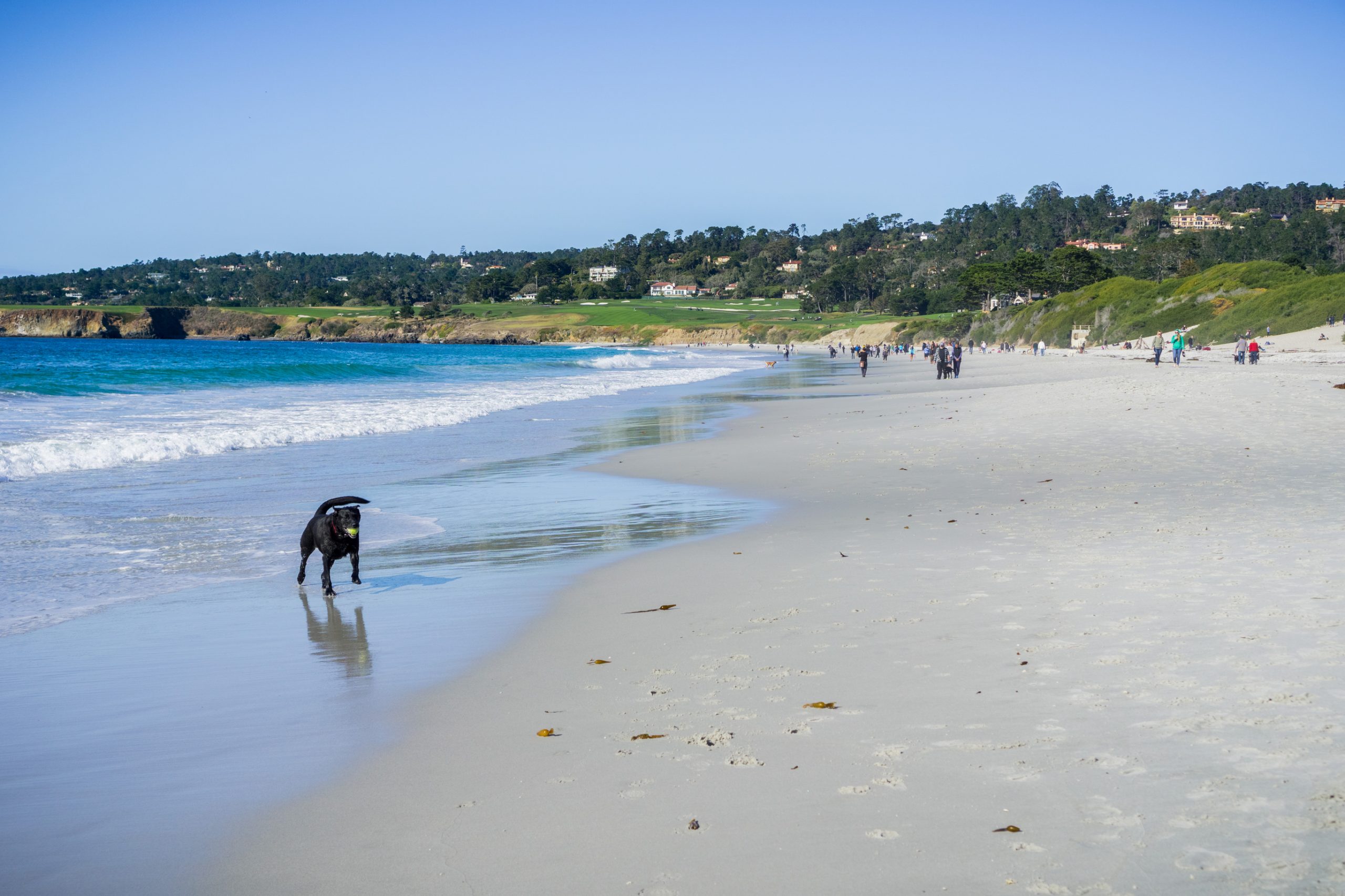 Playing at the beach, Carmel-by-the-Sea