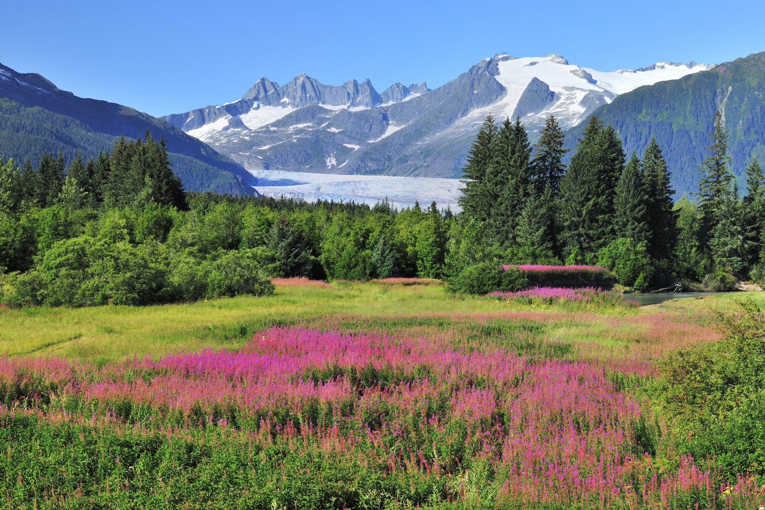 Meadows and mountains just outside downtown Juneau