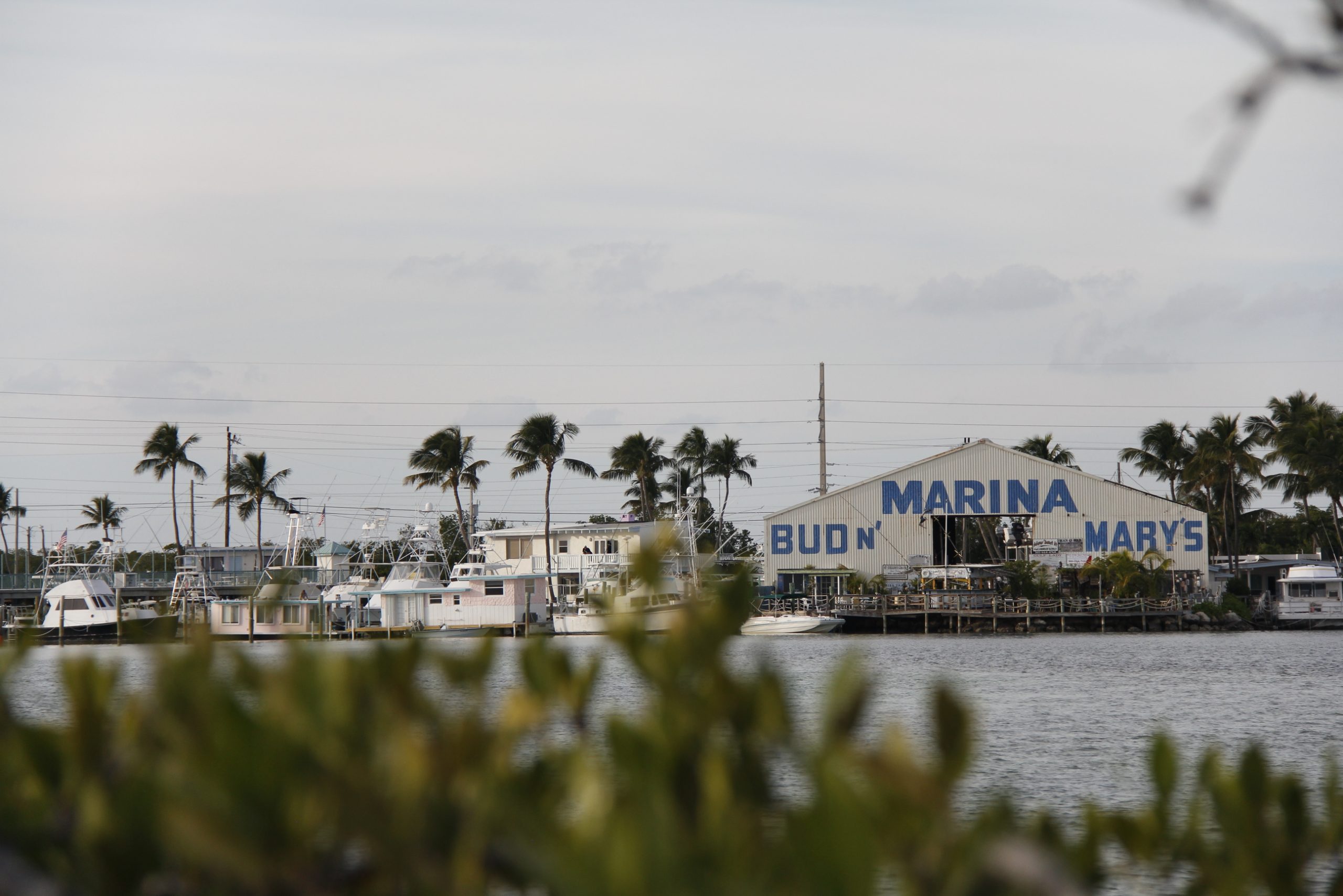 Bud ‘N Mary’s Lodge - Islamorada