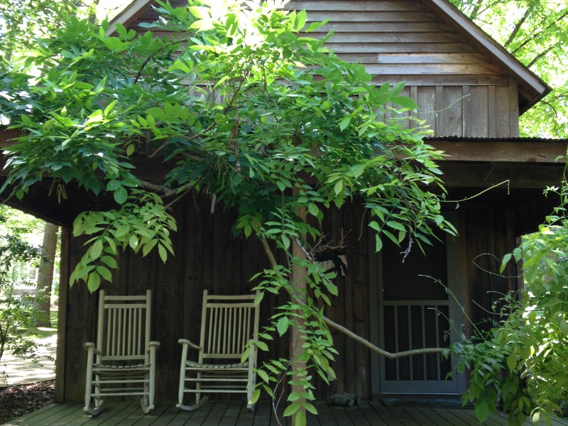 Cozy Cabin Near Square and Faulkner