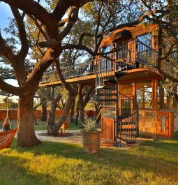 Yard in front of treehouse with porch swing