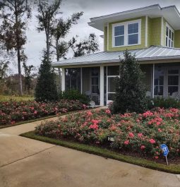 Sidewalk and flowers in front of home