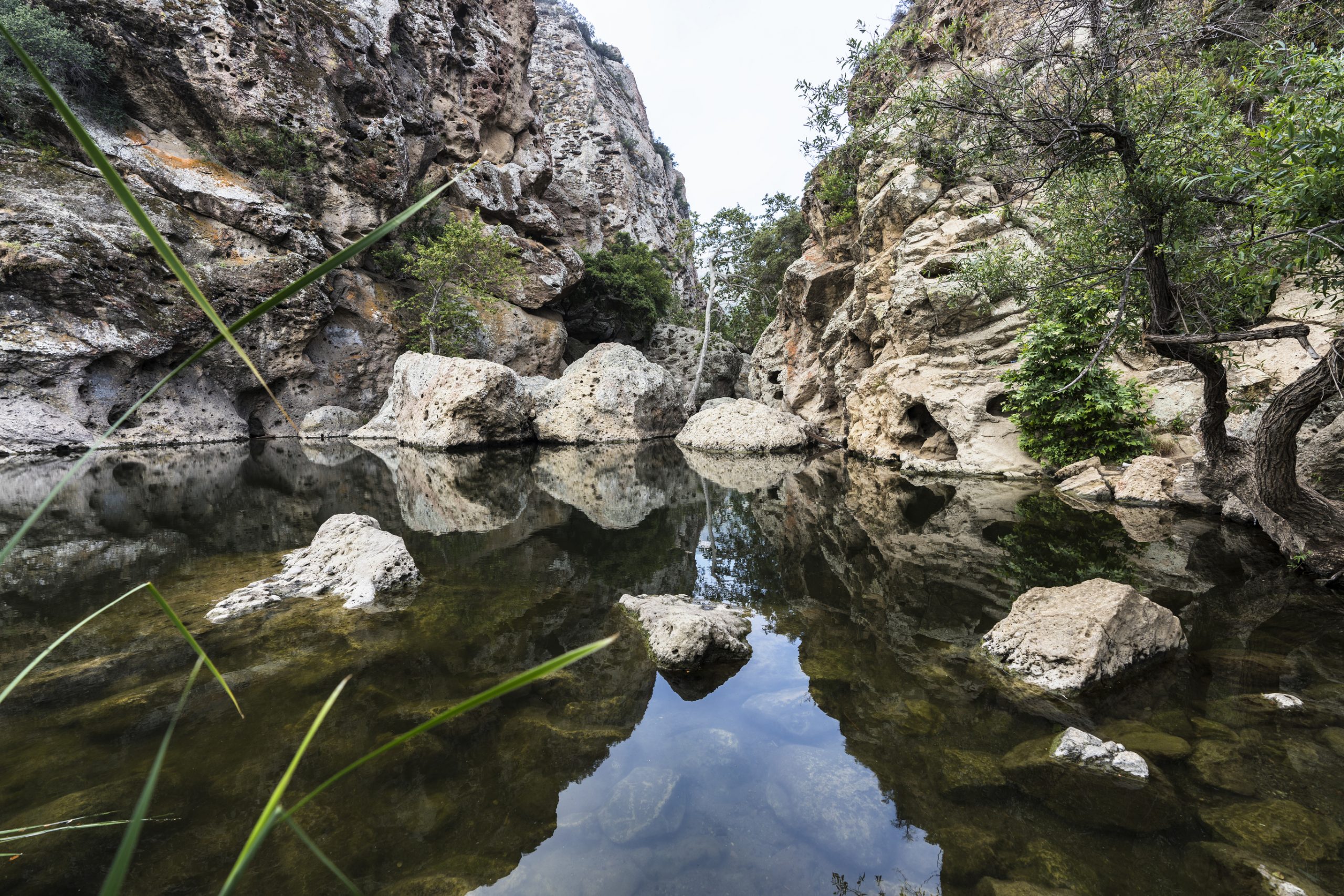 Malibu Rock Pool at Malibu Creek State Park