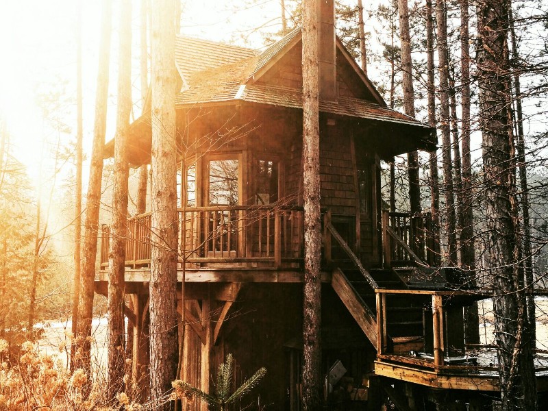 Treehouse on Private, Isolated Forest of 300 Acres