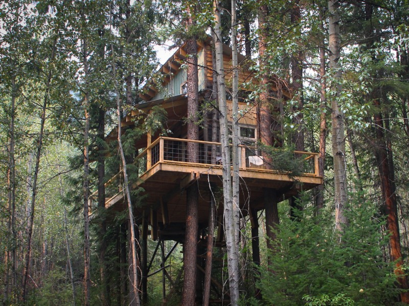 Creekside Treehouse Nestled in the Forest