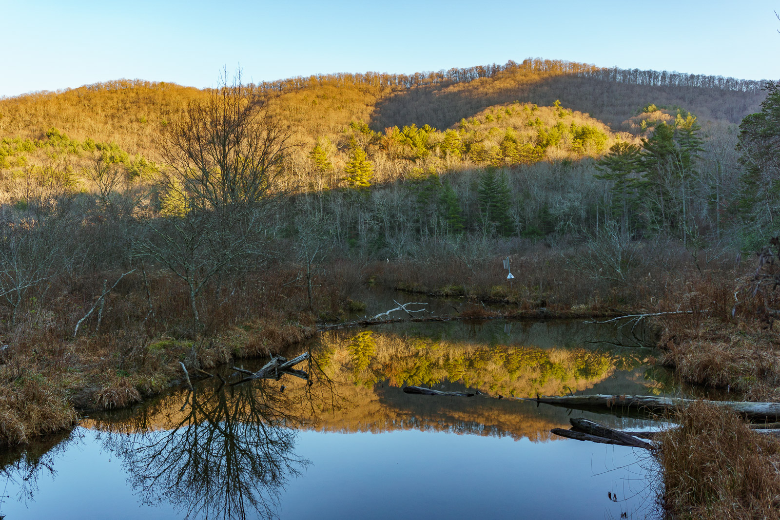 Bent Creek backs up as it flows into Lake Powhatan here, creating this slow marshy area with the mountains behind illuminated by the setting sun.