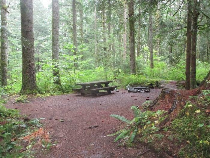 Among the forest and near hiking trails