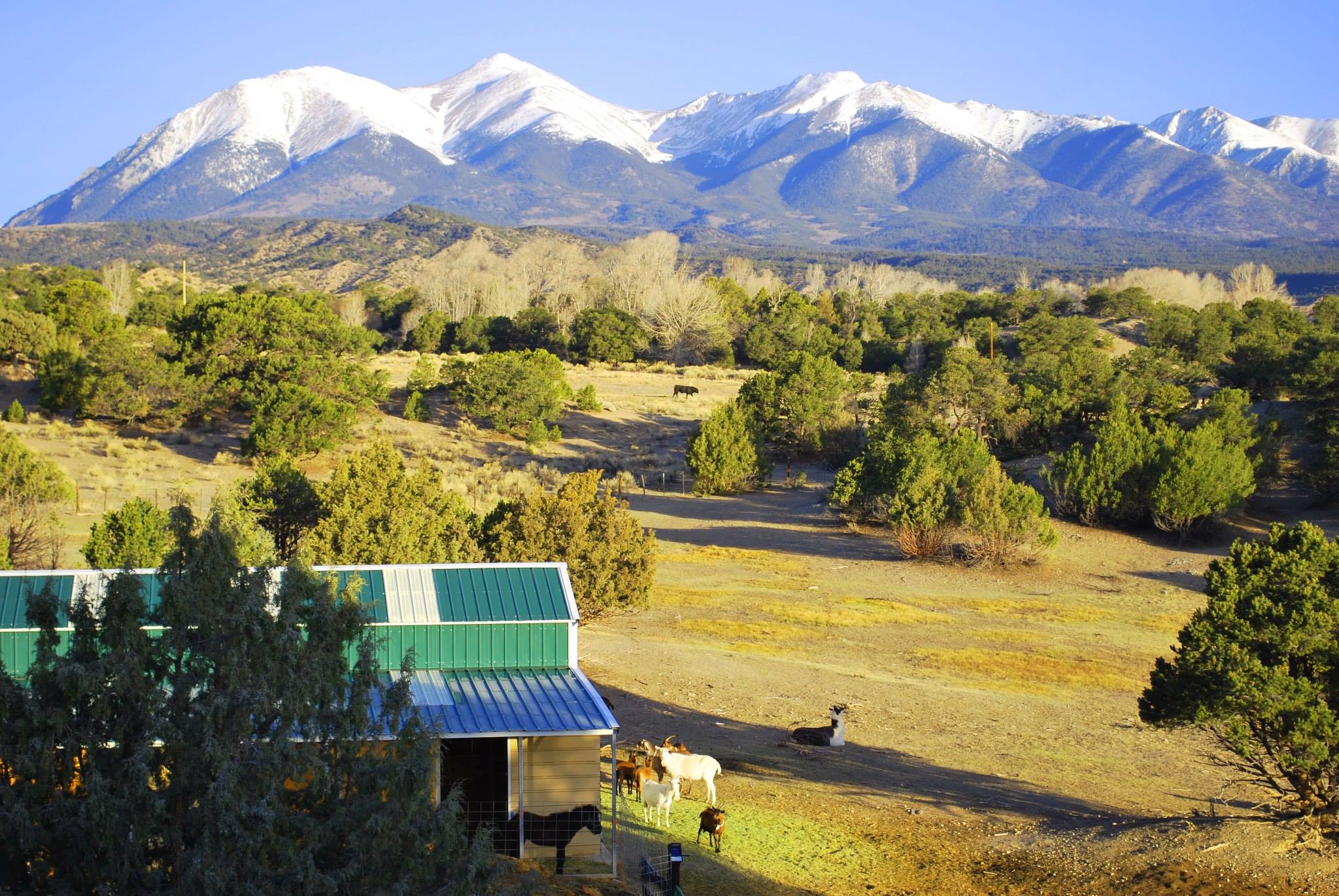 Mountain Goat Lodge