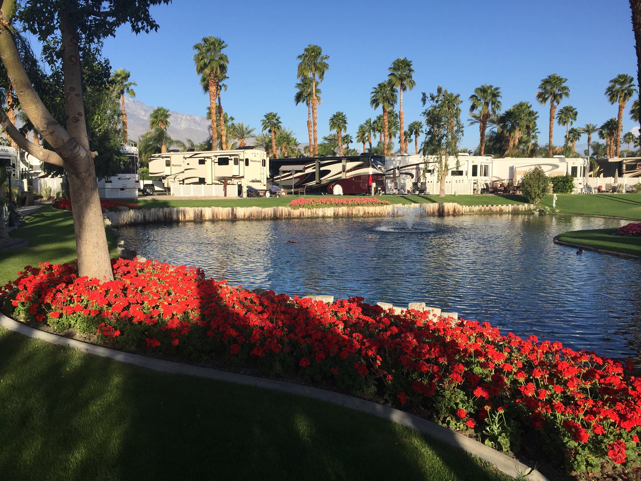 Outdoor Resort Palm Springs, Cathedral City