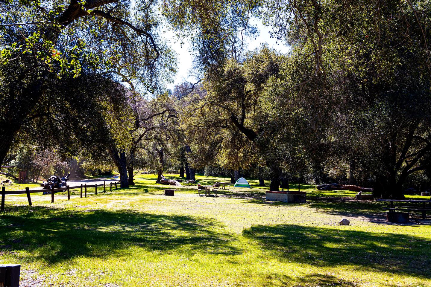 Be in a national forest and still close to the city