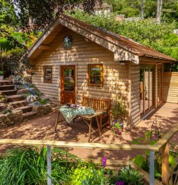 Shade trees and patio at cabin