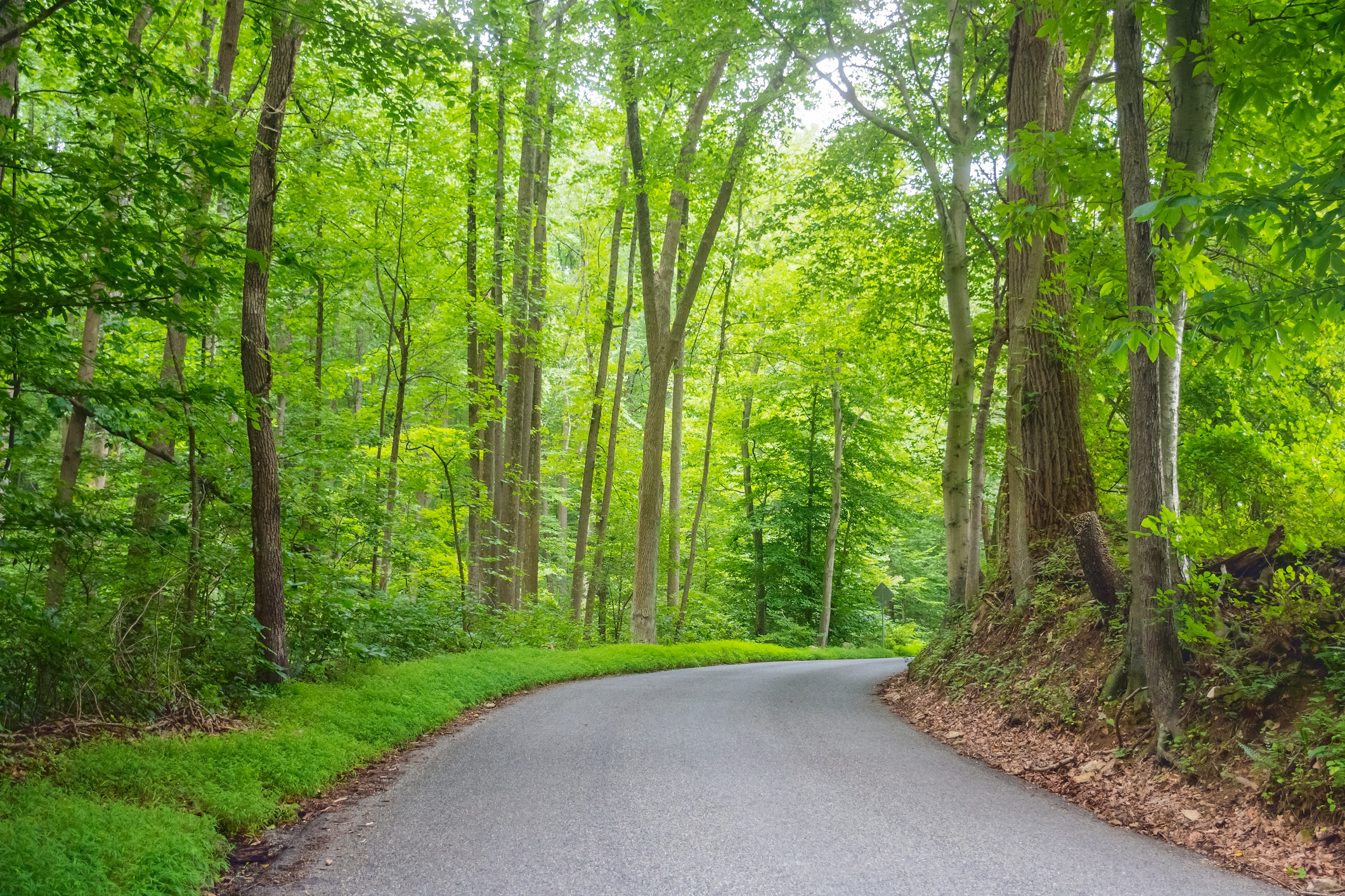 Explore scenic drives like this when you camp here