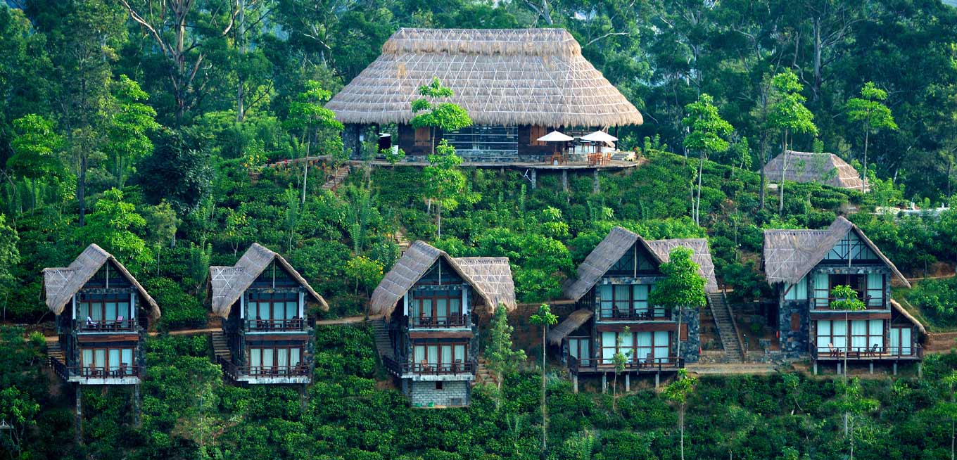 Individual lodges swathed in greenery