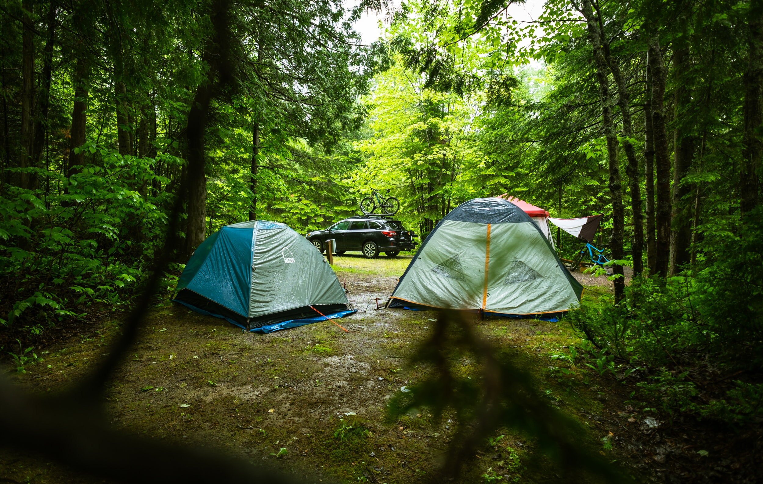 Pitch a tent or park your RV here