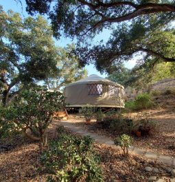 Yurt isolated and among the trees