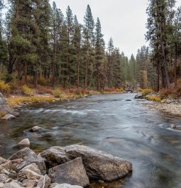 Boise River in the Boise National Forest