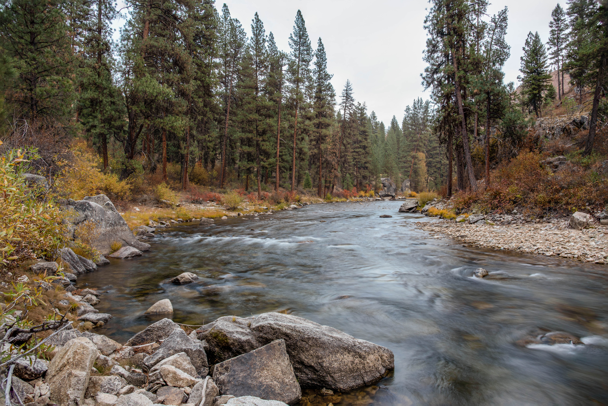 Landscape of Boise River in Idaho in the fall
