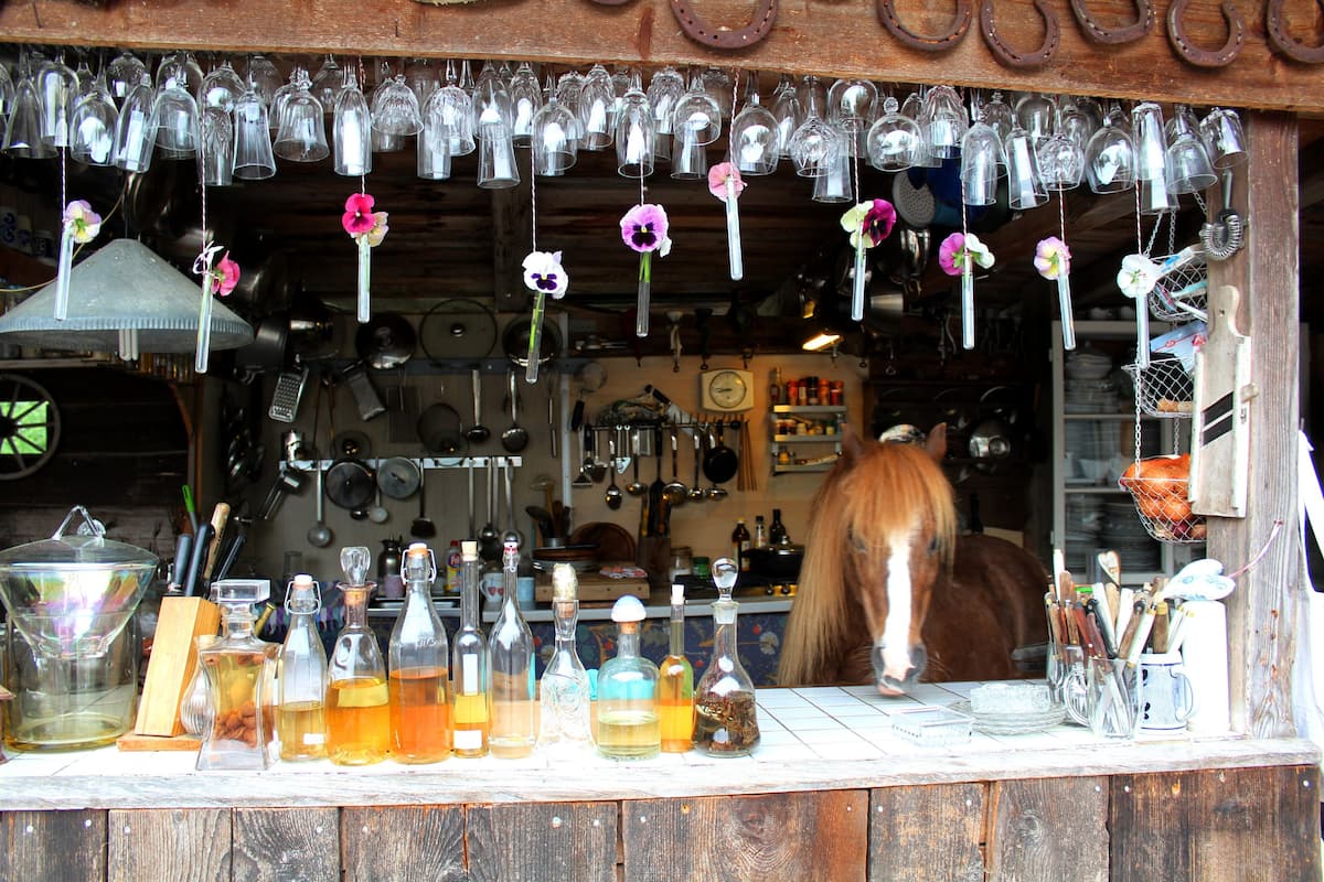 Tiny House Next to the Horses