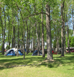 Tents in grassy area at campground