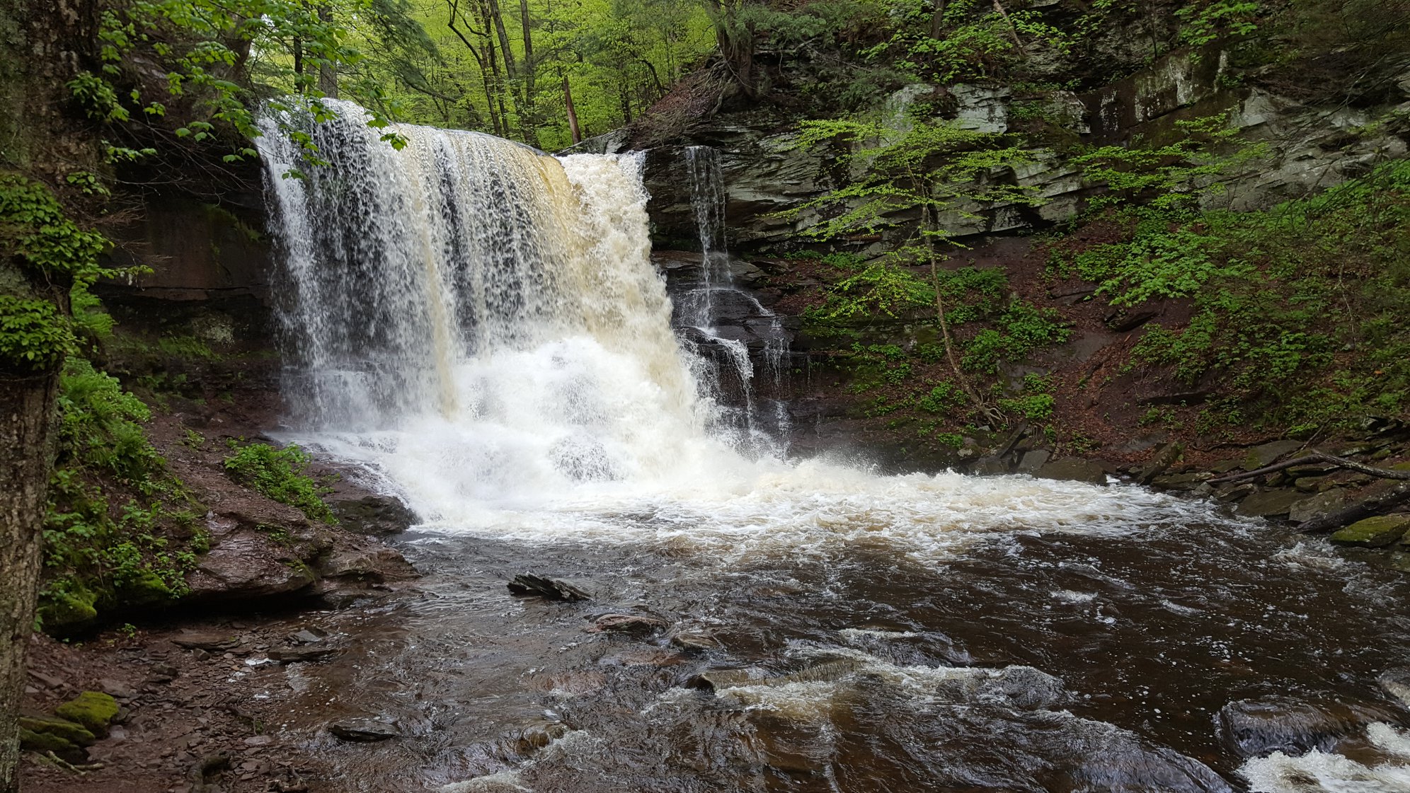 Ricketts Glen State Park Campground