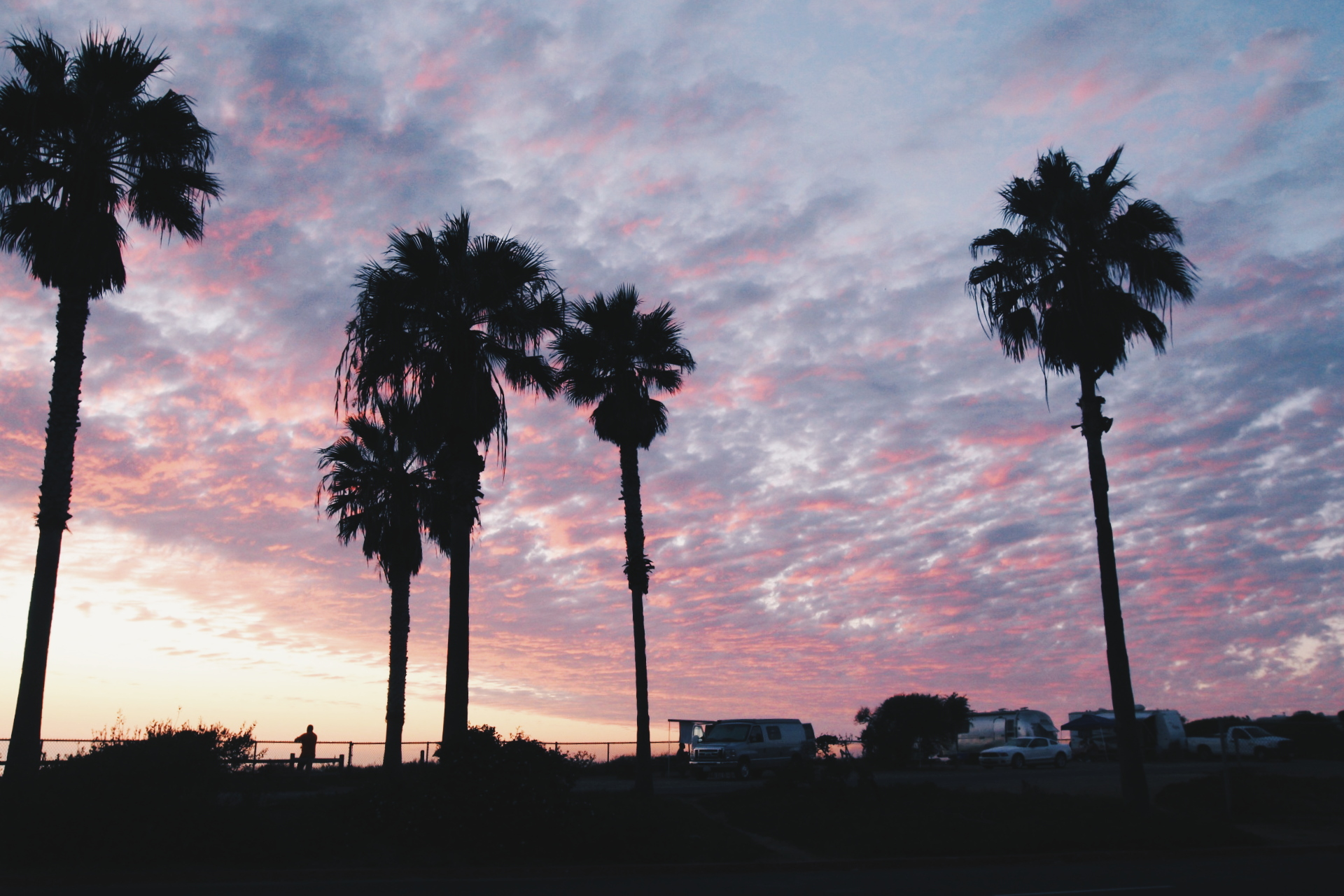 Camp among the palm trees and relax