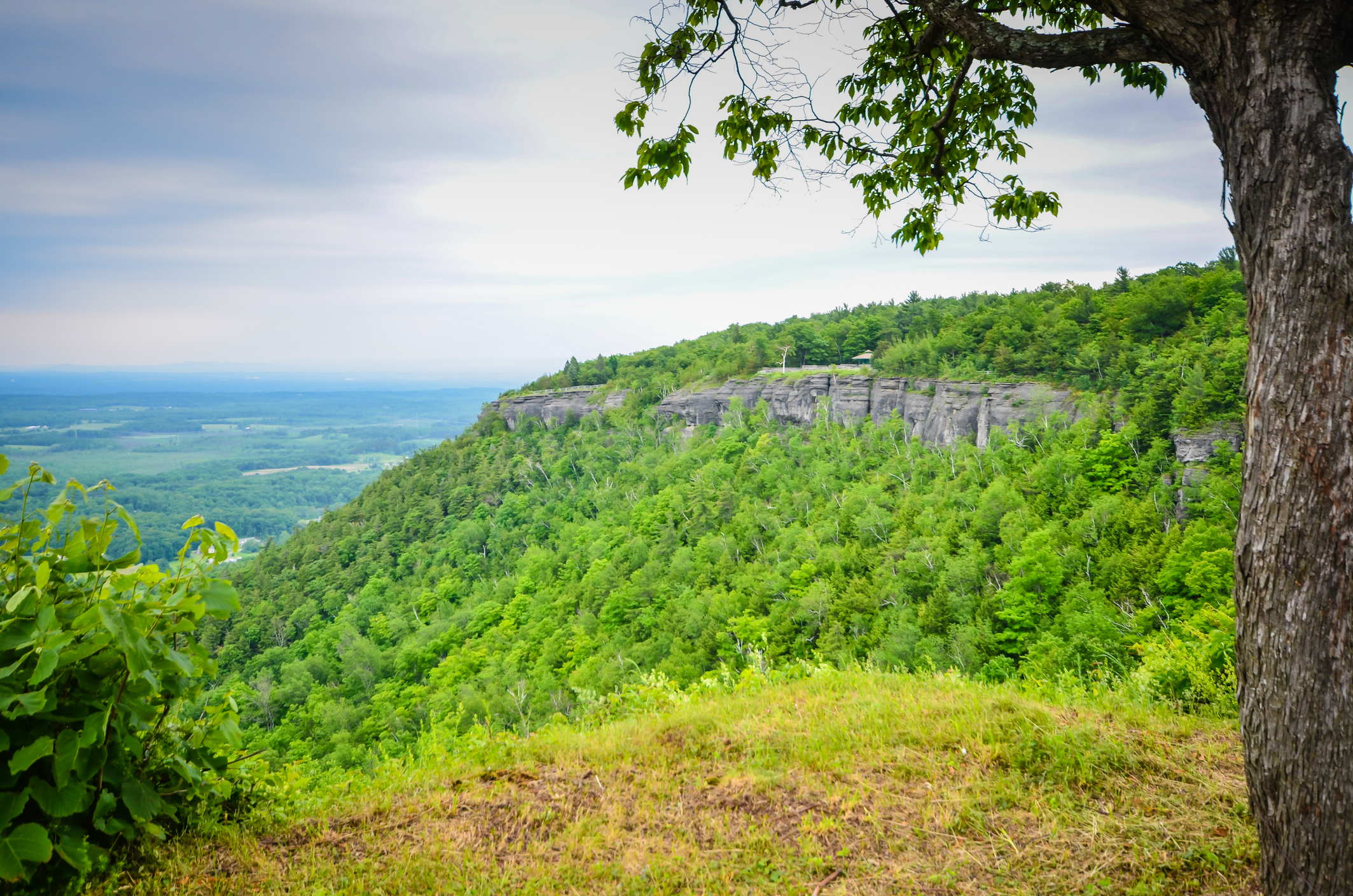 Scenic overview of Hedelberg cliffs seen at state park