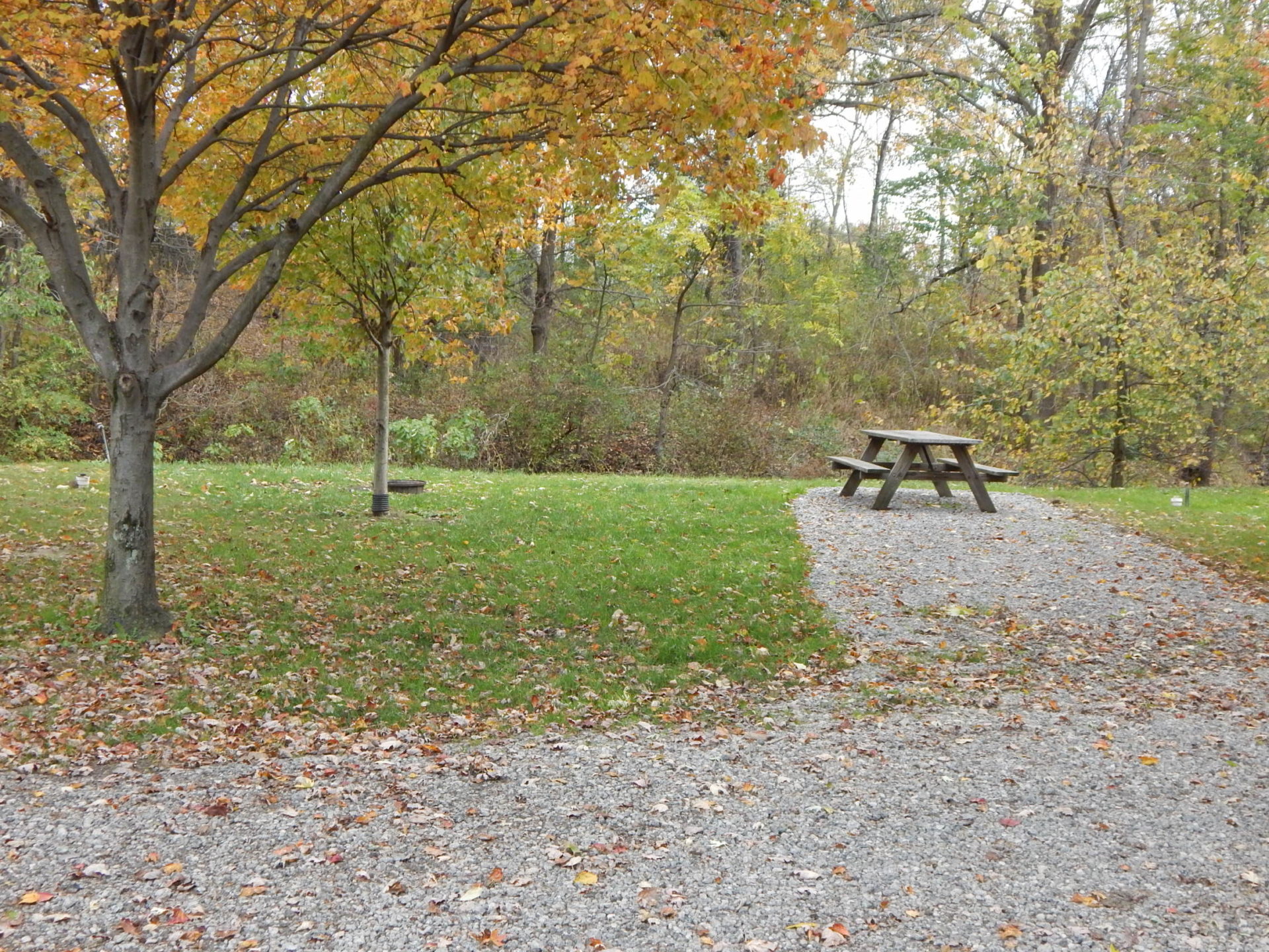 An awesome spot for traveling families 