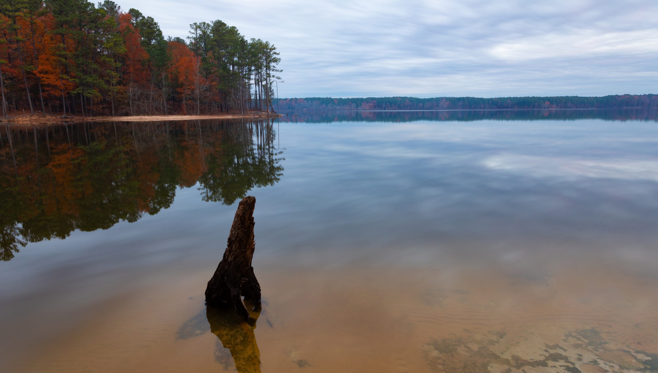 Autumn at Jordan Lake