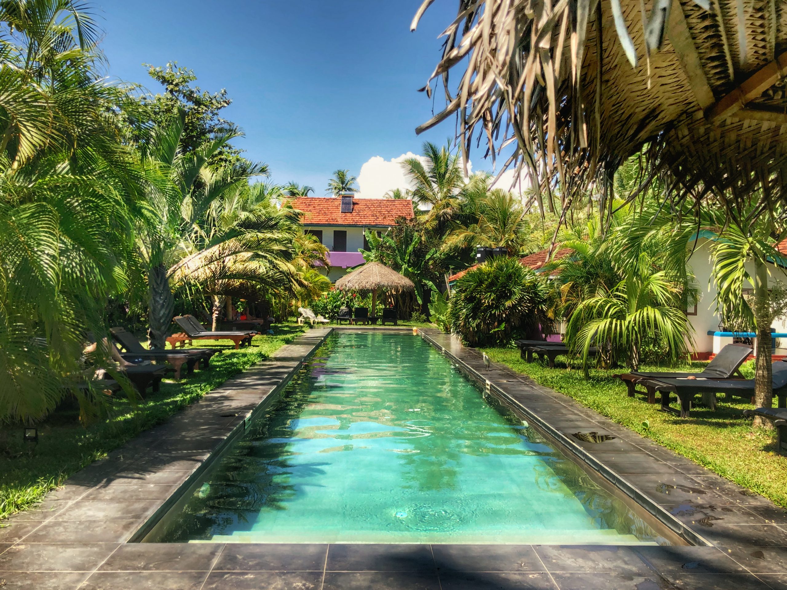 Luscious swimming pool at lodge surrounded by nature