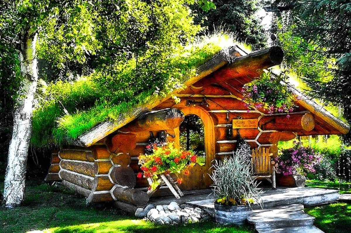 Cozy cottage covered in grass