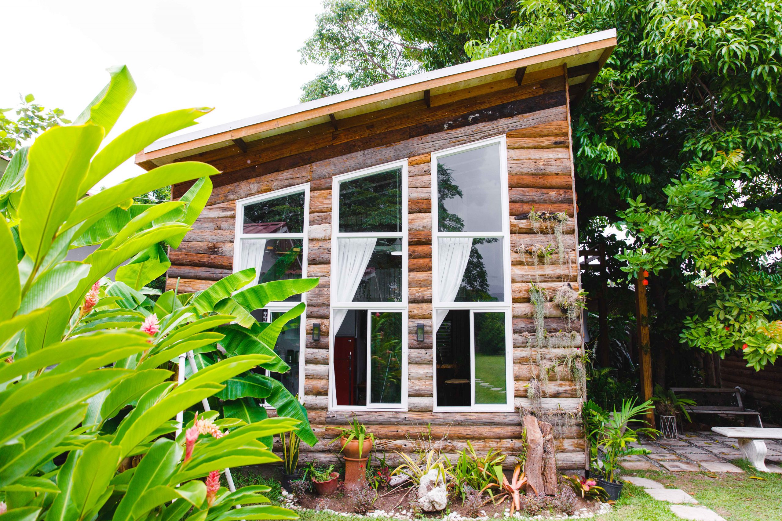 Slanted Airbnb surrounded by leaves