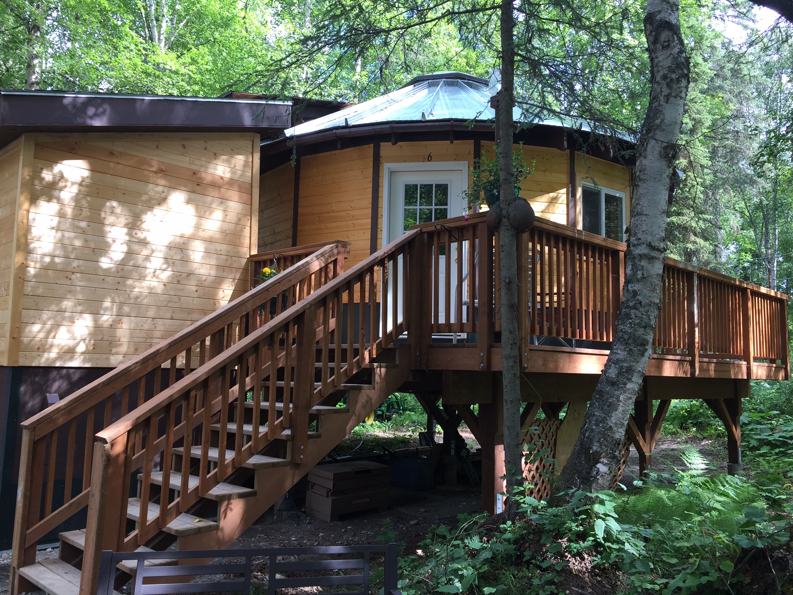 Round cabin in the forest 