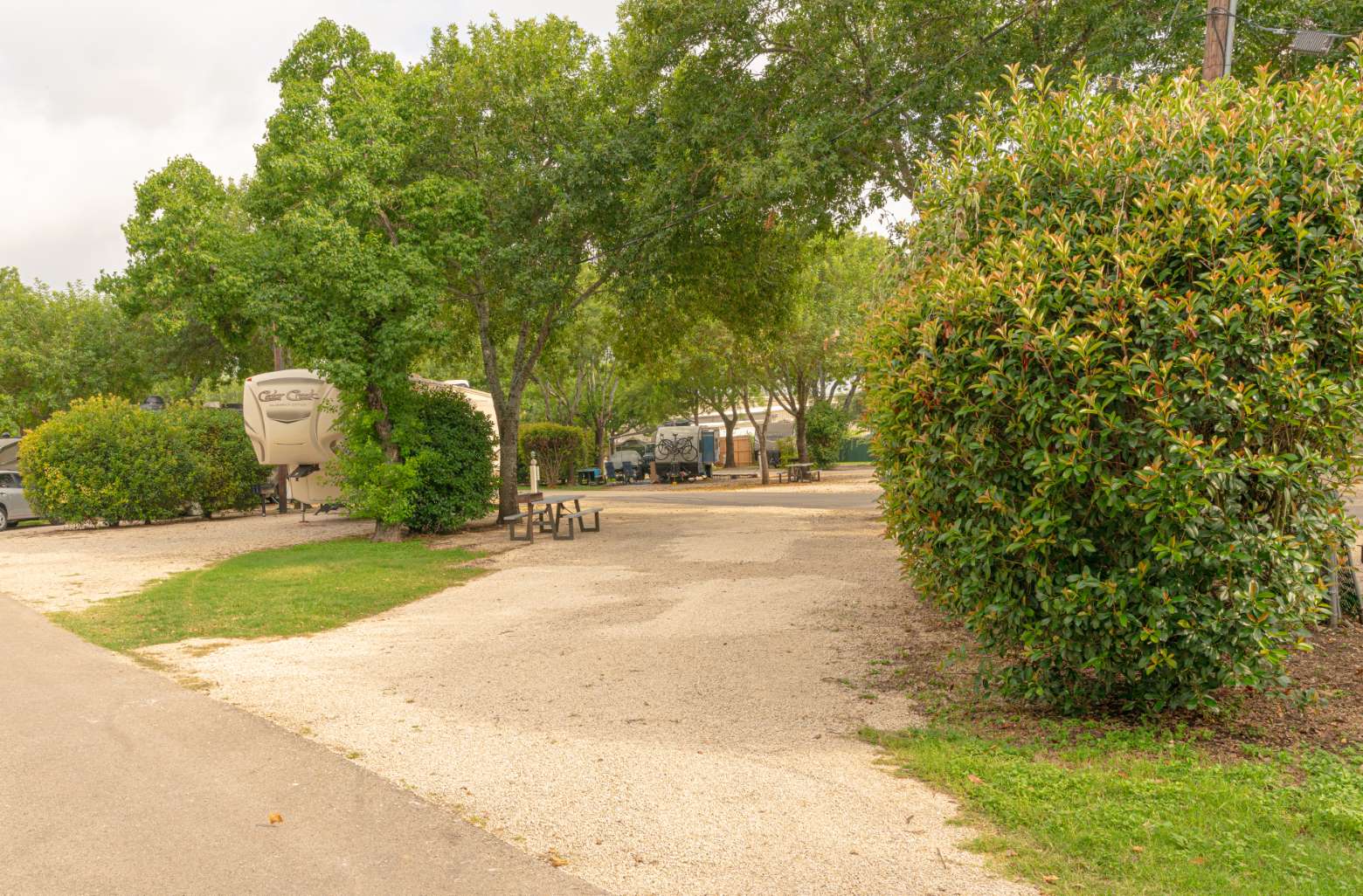 Tree-shaded sites for your Austin trip